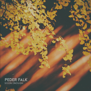 日本小视频在线
