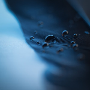 日本小视频在线
